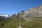 Verso il Pian dei Camosci